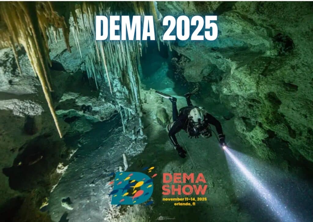 dema 2025