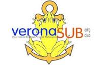 veronasub